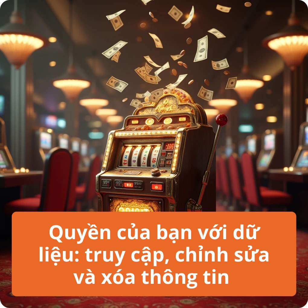 Quyền của bạn với dữ liệu: truy cập, chỉnh sửa và xóa thông tin